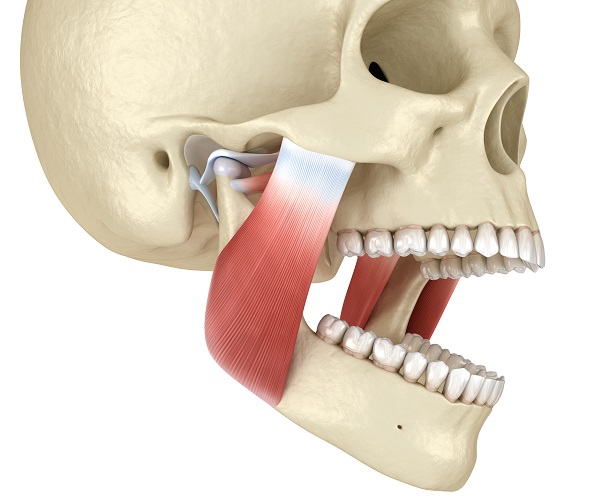 How Does a General Dentist Treat TMJ? - Design Dentistry Camas Washington